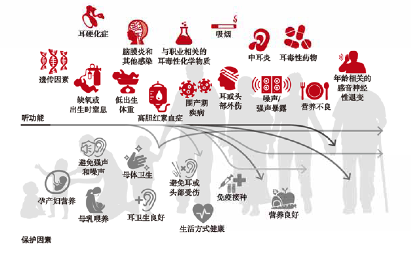 全生命周期听力